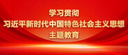白丝美女操逼。学习贯彻习近平新时代中国特色社会主义思想主题教育_fororder_ad-371X160(2)